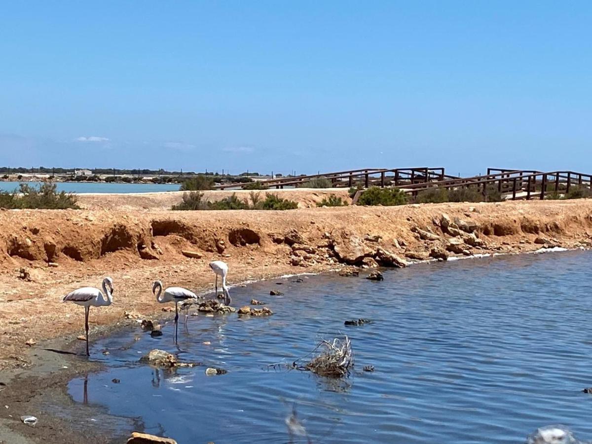 Villamar 19 - Planta Baja Con 2 Terrazas Cerca De Las Salinas San Pedro del Pinatar Eksteriør bilde